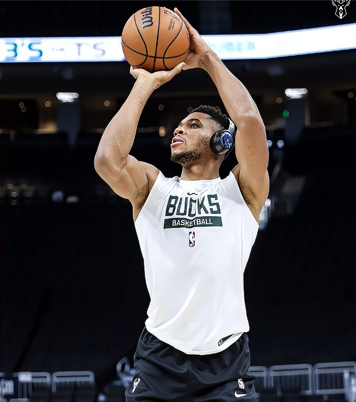 AYX-关于字母哥回归赛场，精彩发挥首场状态亮眼，瑞士队观众沸腾！的信息